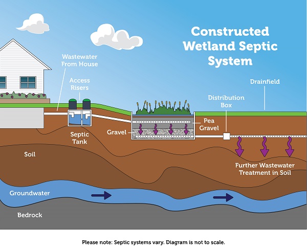 How a constructed wetland system works