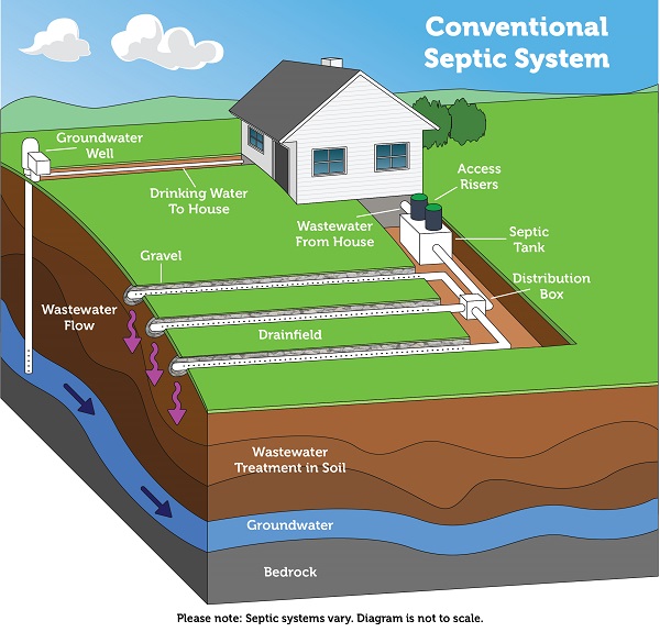 Diagram of conventional septic system