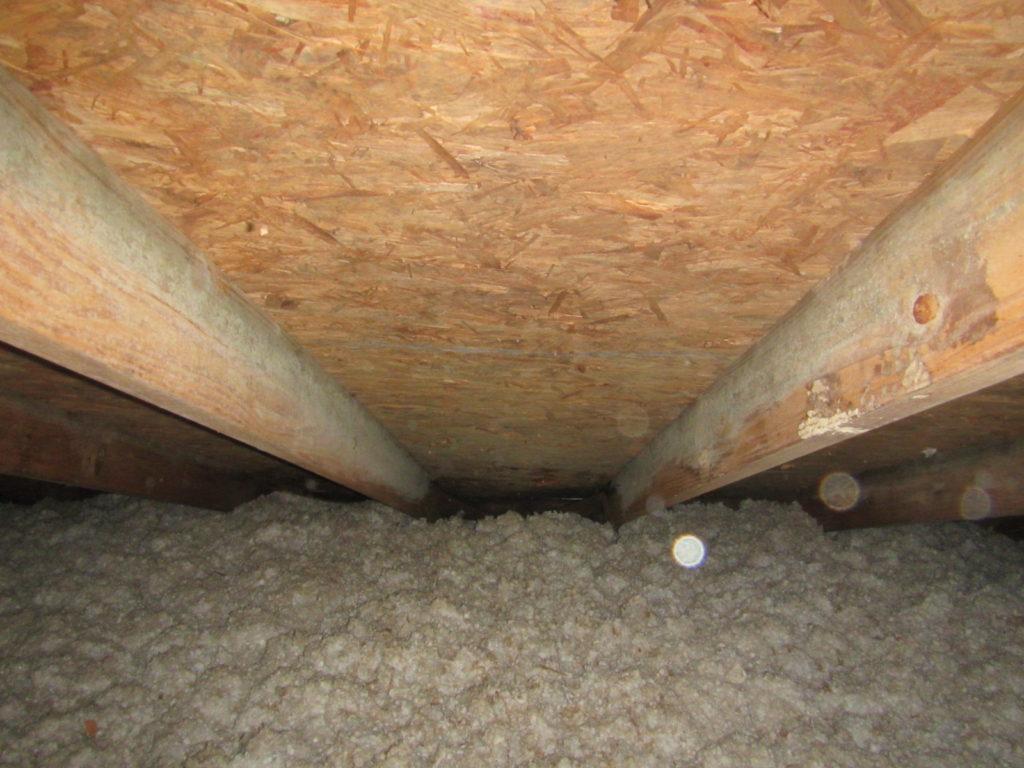 Mold Found in Attic Best Choice Home Inspections