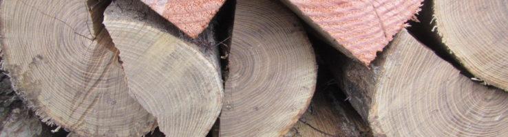 Ohio Department of Agriculture Offers Tips for Purchasing Firewood