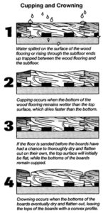 Cupping and crowning of hardwood flooring